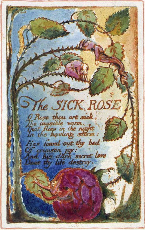 William Blake - The Sick Rose