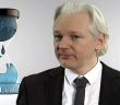 Julian assange and Wikileaks